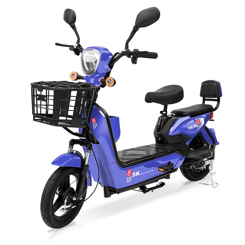 YTYIN 350W Electric City Bike  - Folding Electric Scooter 评论和价格